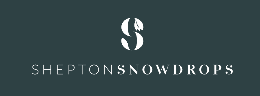 Snowdrops Competitions Login